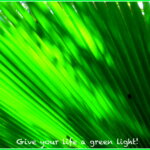 greenlightgivegreen light