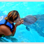 crystal dolphin kiss