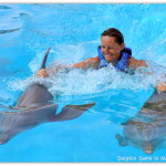 crystal dolphin ride